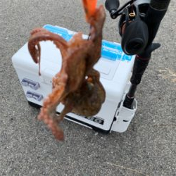 場所変更で正解!