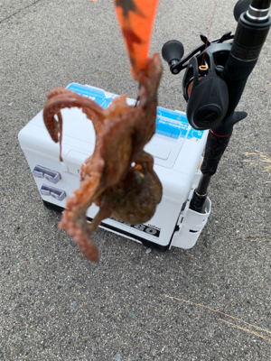 場所変更で正解!