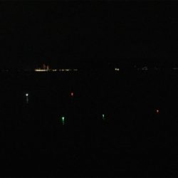 タチウオの気配無し