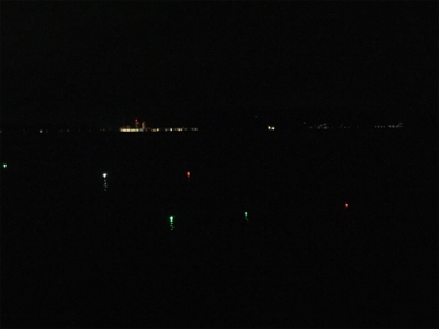 タチウオの気配無し