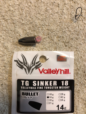 嫁さんとキス釣り