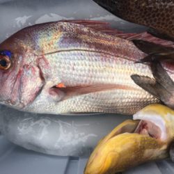 深場浅場なんでも狙いで