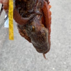 朝一、昨日の所へ！