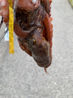 朝一、昨日の所へ！