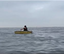 横須賀　手漕ぎボート　アジ