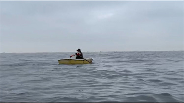 横須賀　手漕ぎボート　アジ
