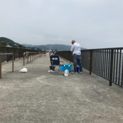 キス11匹釣れました‼️