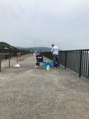 キス11匹釣れました‼️