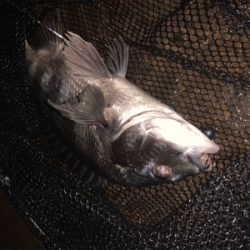 大雨ナイトチニング!