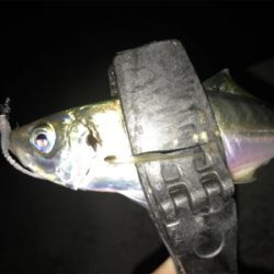 2020ライトゲーム第22戦