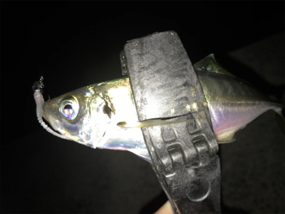 2020ライトゲーム第22戦