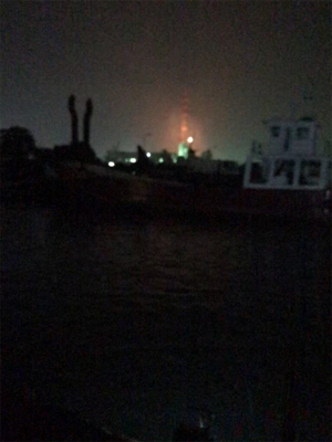 ヒイカ調査 2 (^^)