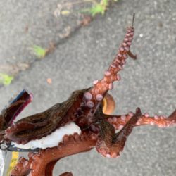 ポイント大移動！