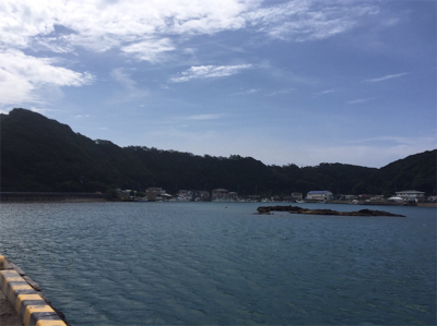 35センチのカンパチ三匹!やっぱり釣りは楽しいなー!