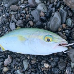 サイズがいまいち>_<