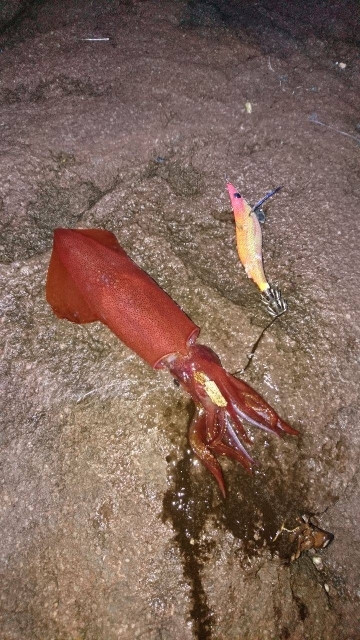 まさかこんな所に!?