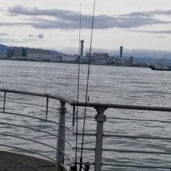 コスモで（小）サバゲー