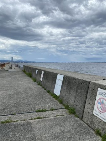 貝塚人工島の穴釣り