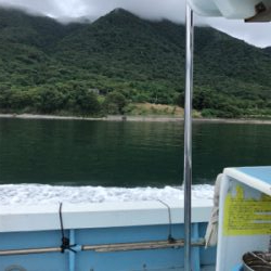 ライトショアジギング で大アジに太刀魚狙い