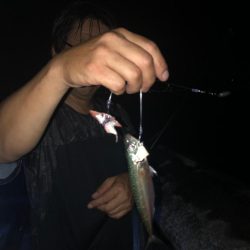 夜釣りからの朝マズメ