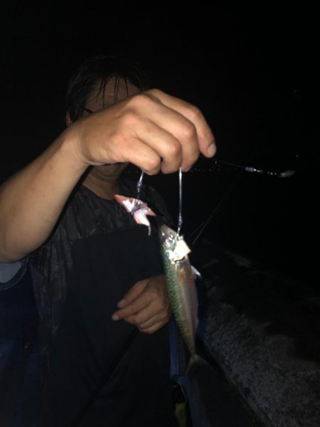 夜釣りからの朝マズメ