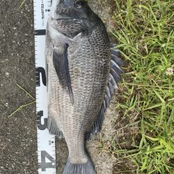 イチノ兄弟、釣果!