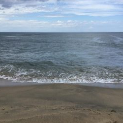 北条サーフマゴチ2連