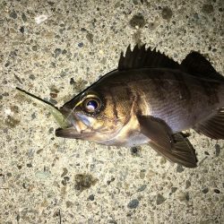 ランガンメバル