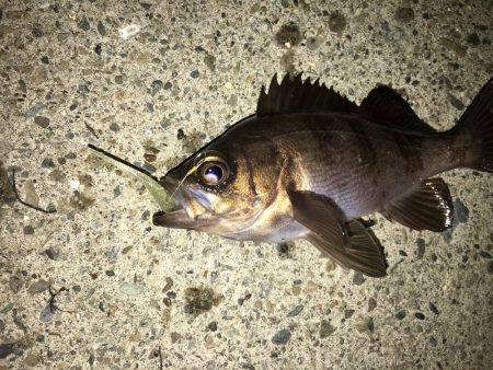 ランガンメバル