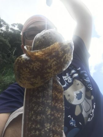 南国色々！デカウツボ多数…