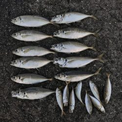 ナナマルまであと少し