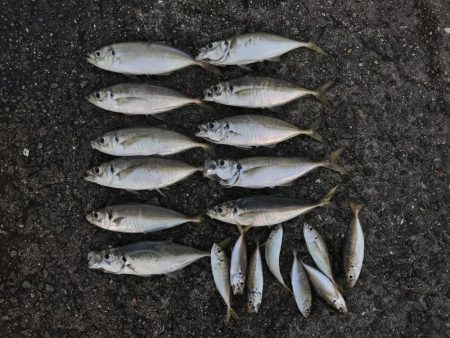 ナナマルまであと少し