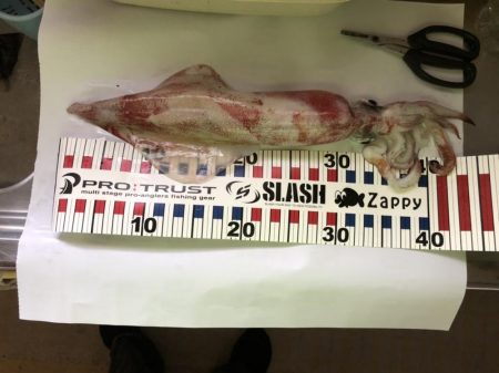 ダイケンキャッチ