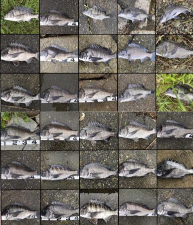 イチノ兄弟、釣果!