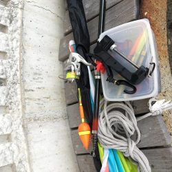 マリーナの尺アジ