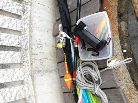 マリーナの尺アジ