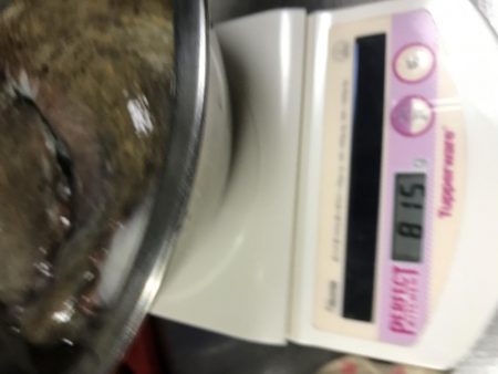 オクトパッシング