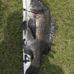 イチノ兄弟、釣果!