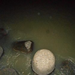 もう少し濁りが引かないと駄目か？