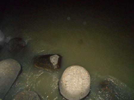 もう少し濁りが引かないと駄目か？