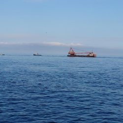 8か月ぶりの釣果