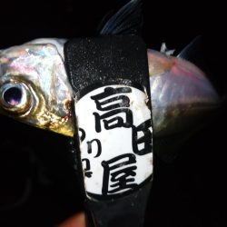 八雲で良型ゲット!!