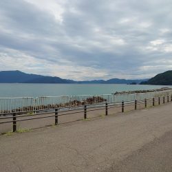 ちょい投げで狙う小魚