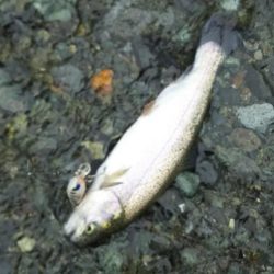 リヴァスポット早戸