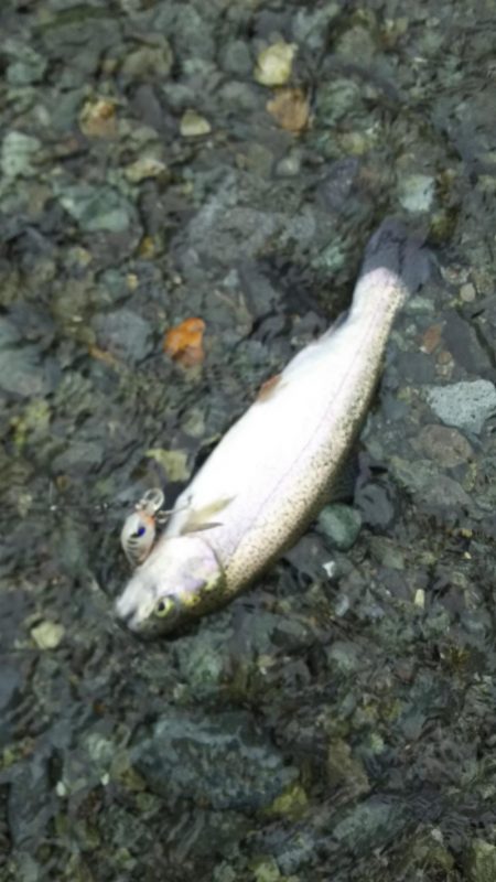 リヴァスポット早戸