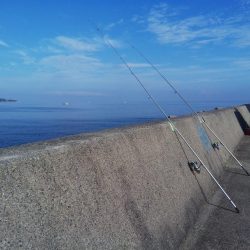 淡路島キス遠征