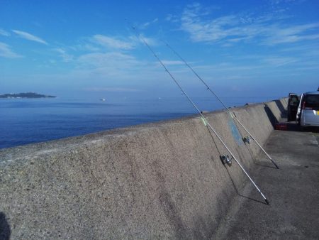 淡路島キス遠征