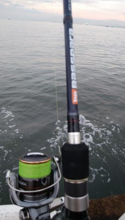 海の状況一変せず、安定のサバ