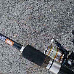 サバばっかり・・・