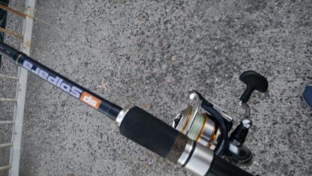 サバばっかり・・・